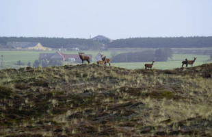 THY NATIONAL PARK